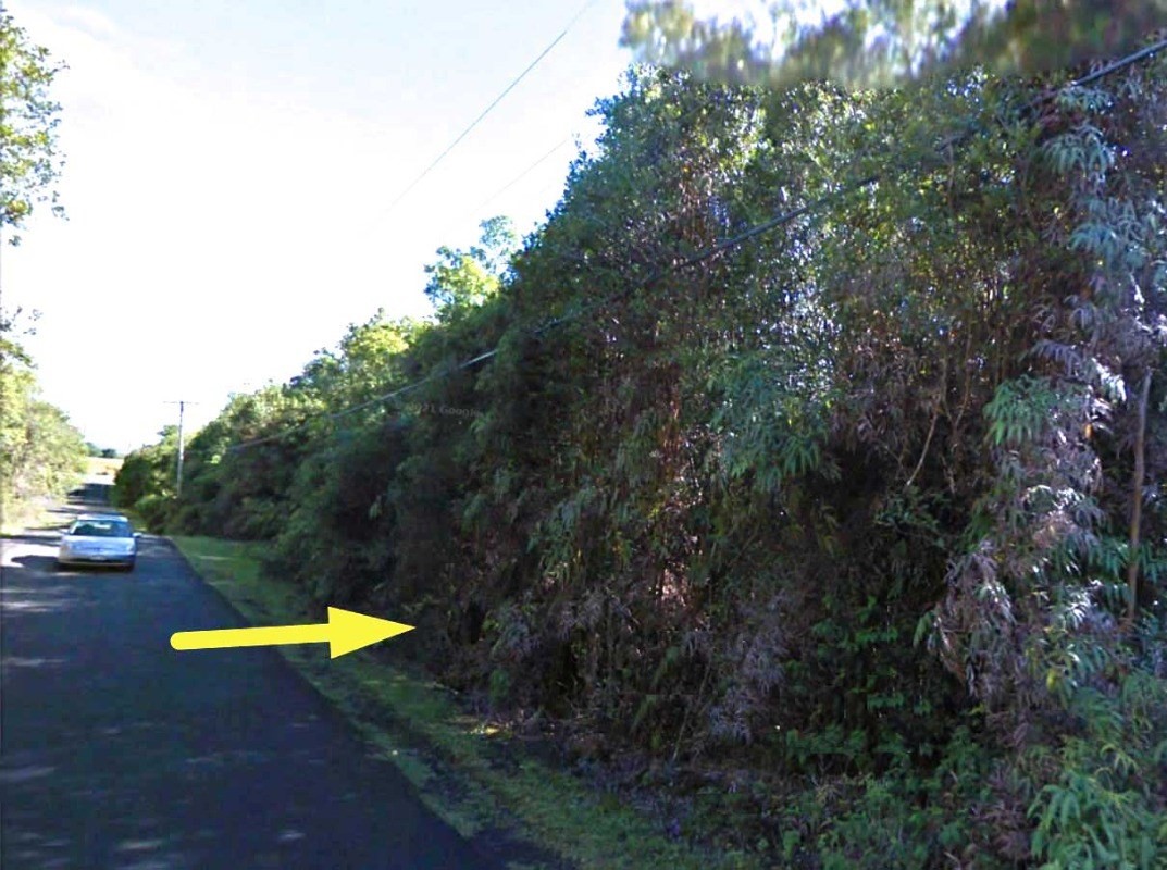 Big Island Listing Image