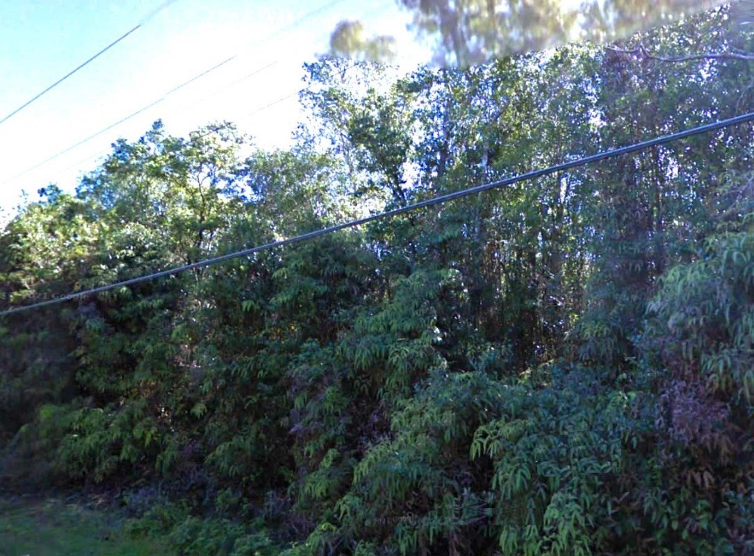 Big Island Listing Image