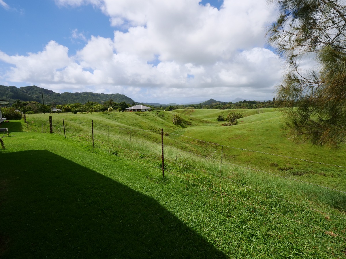 6395 OLOHENA RD KAPAA HI 96746