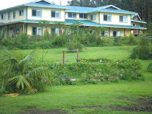 Noni Farm Road, PAHOA, HI, 96778, USA