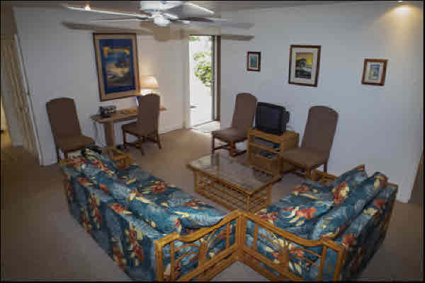 3992A KOLOA RD, KOLOA, HI, 96756, USA