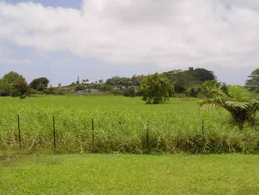0186 KAHOLALELE RD, KAPAA, HI, 96746, USA