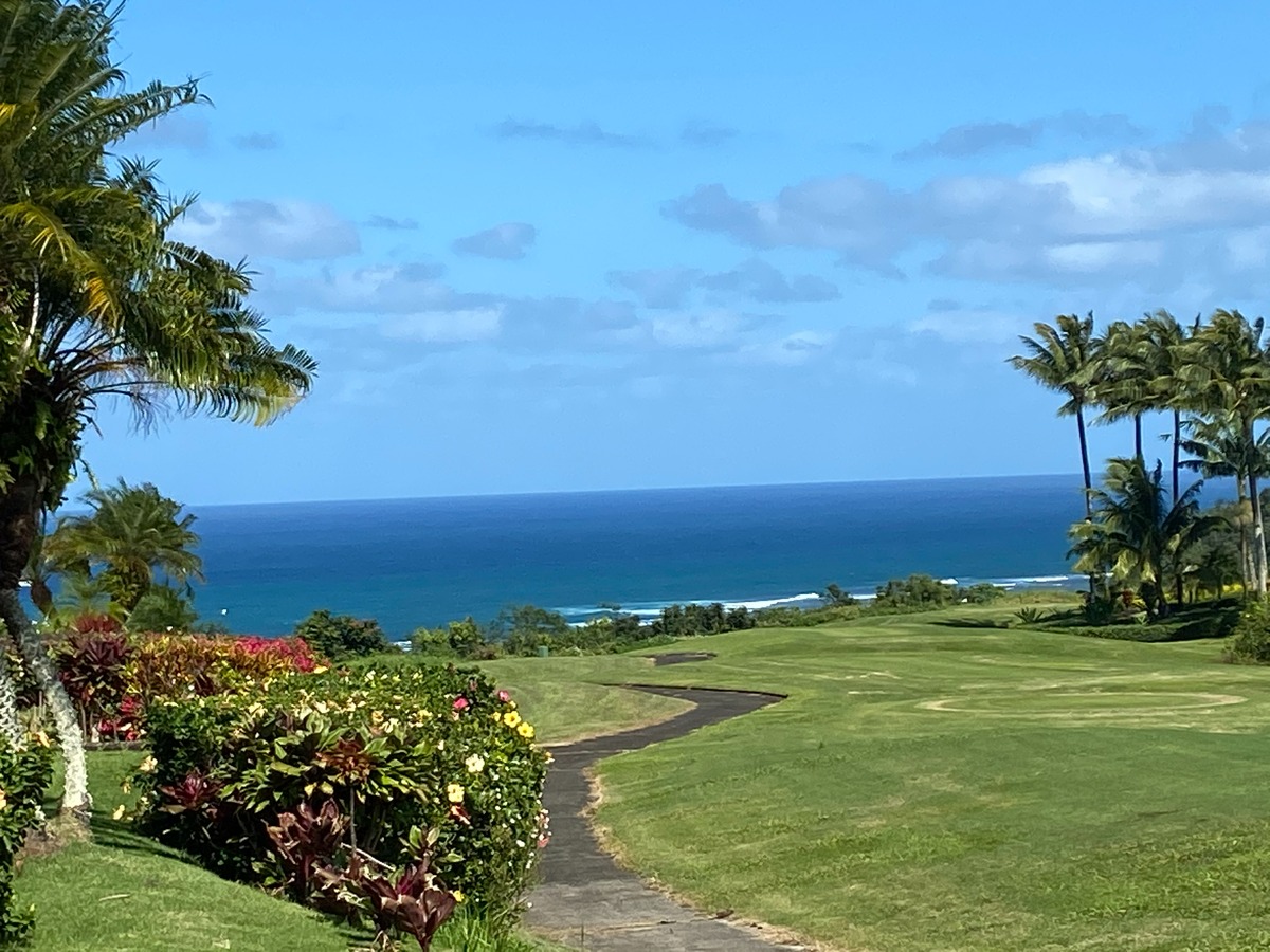 4005 ALOALII DR PRINCEVILLE HI 96722