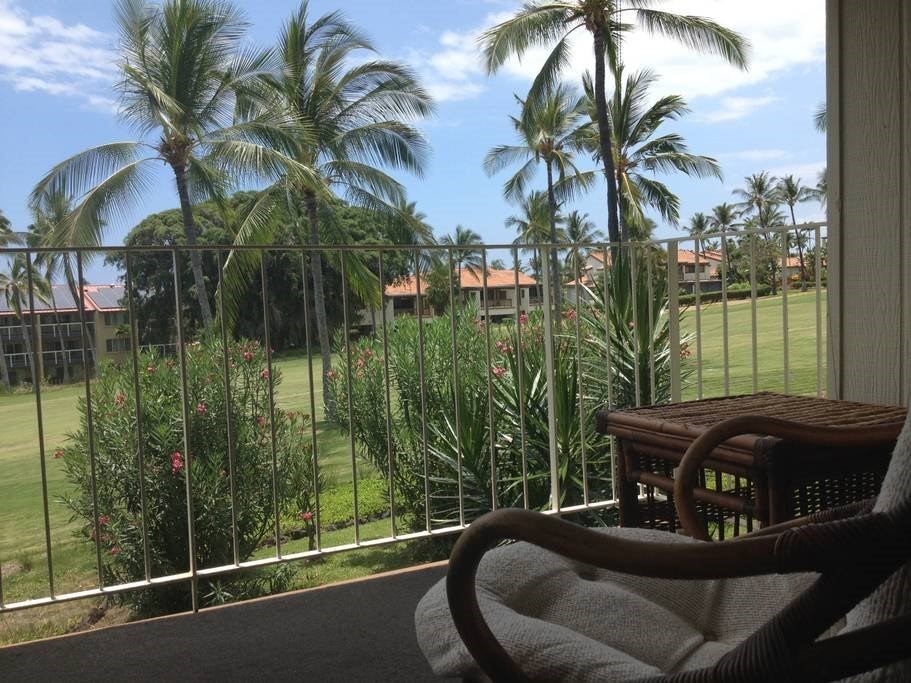 Big Island Listing Image