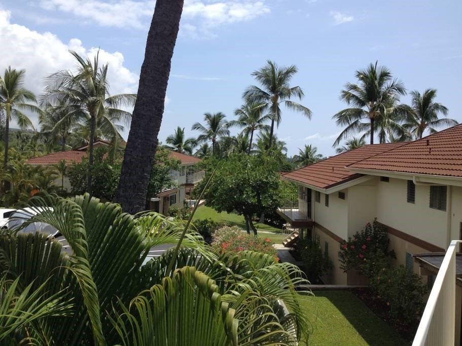 Big Island Listing Image