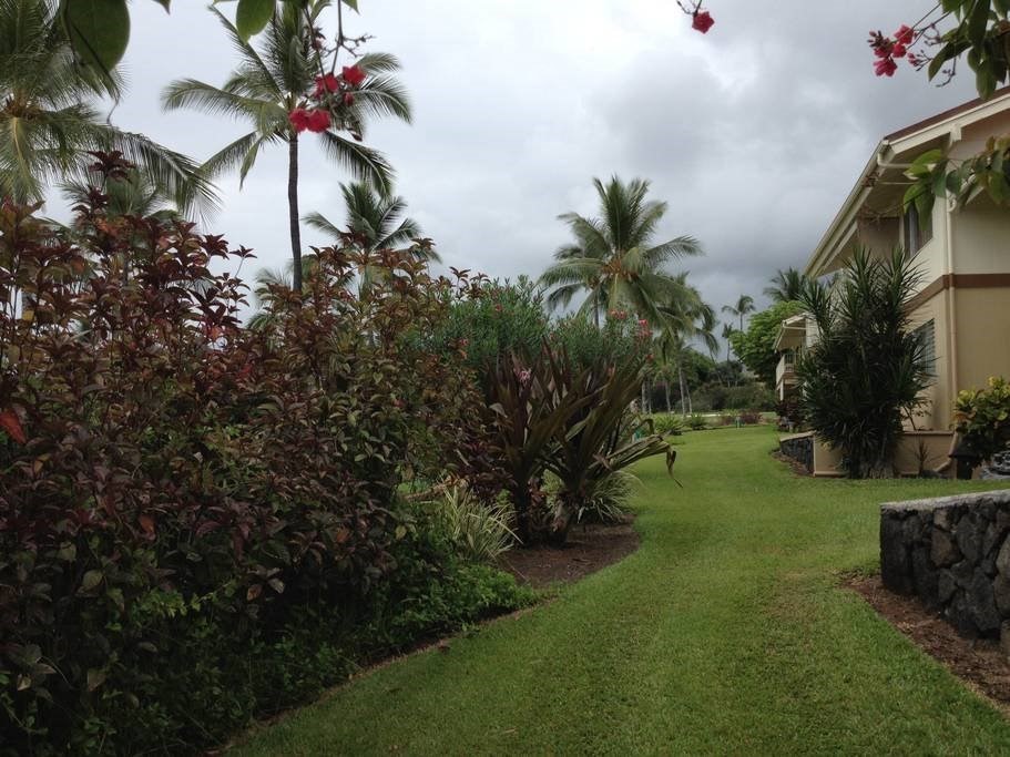 Big Island Listing Image