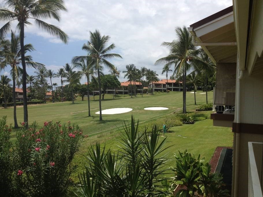 Big Island Listing Image