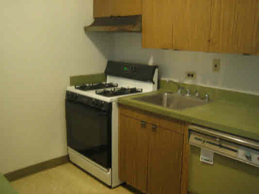 Hilo Oceanfront Condo