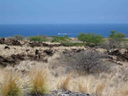 MLS 234792 | 72-3184 ALAPII KULA DR, Kukio/maniniowali Ph Ii - North Kona, Hawaii