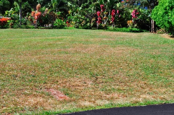 5106 IOLANI PL, Princeville, HI 96722