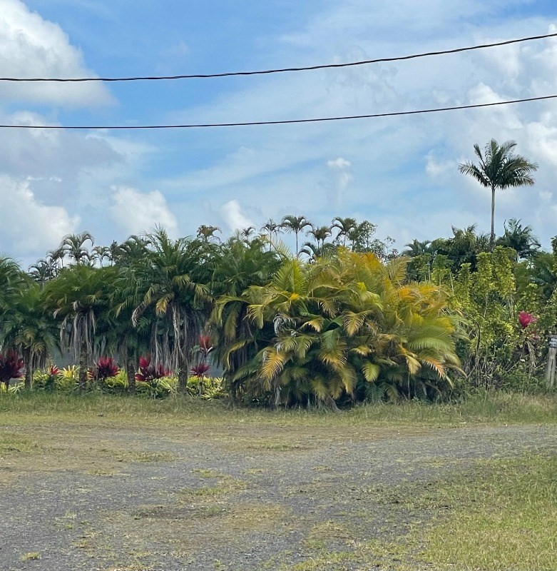 Big Island Listing Image