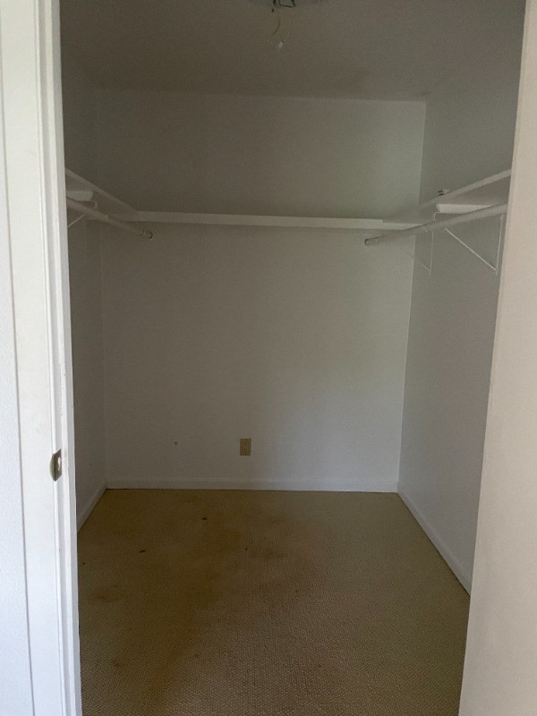 Big Island Listing Image