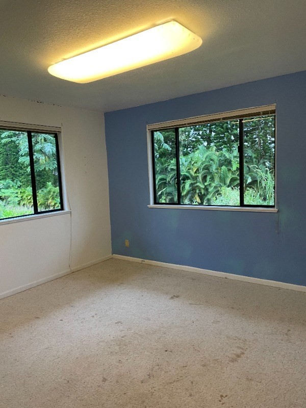 Big Island Listing Image