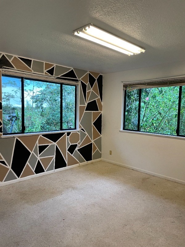 Big Island Listing Image