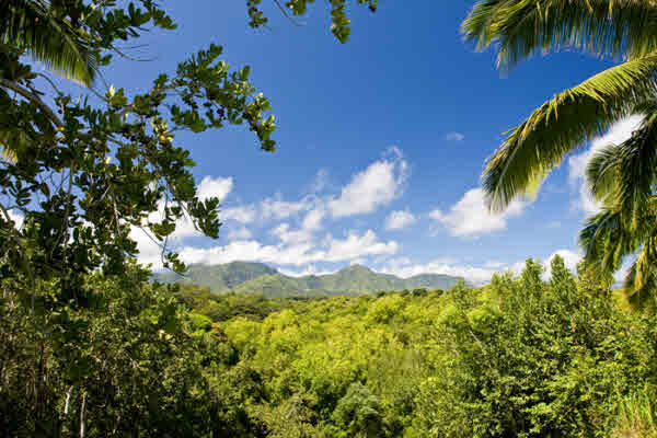 3471 ANINI RD, KILAUEA, HI, 96754, USA