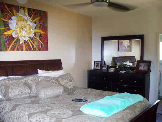 Real Estate For Sale: 3475 ILI RD, LAWAI, HI, 96765, USA - Photo 10