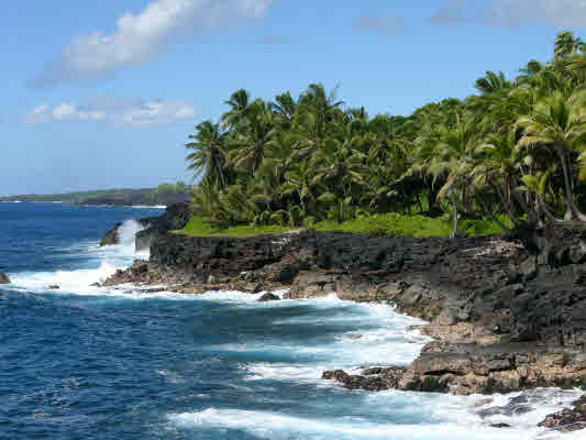 Big Island Real Estate