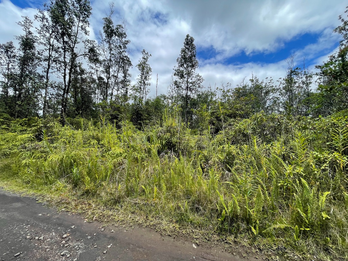 ROAD 7 (OPEAPEA) MOUNTAIN VIEW HI 96760