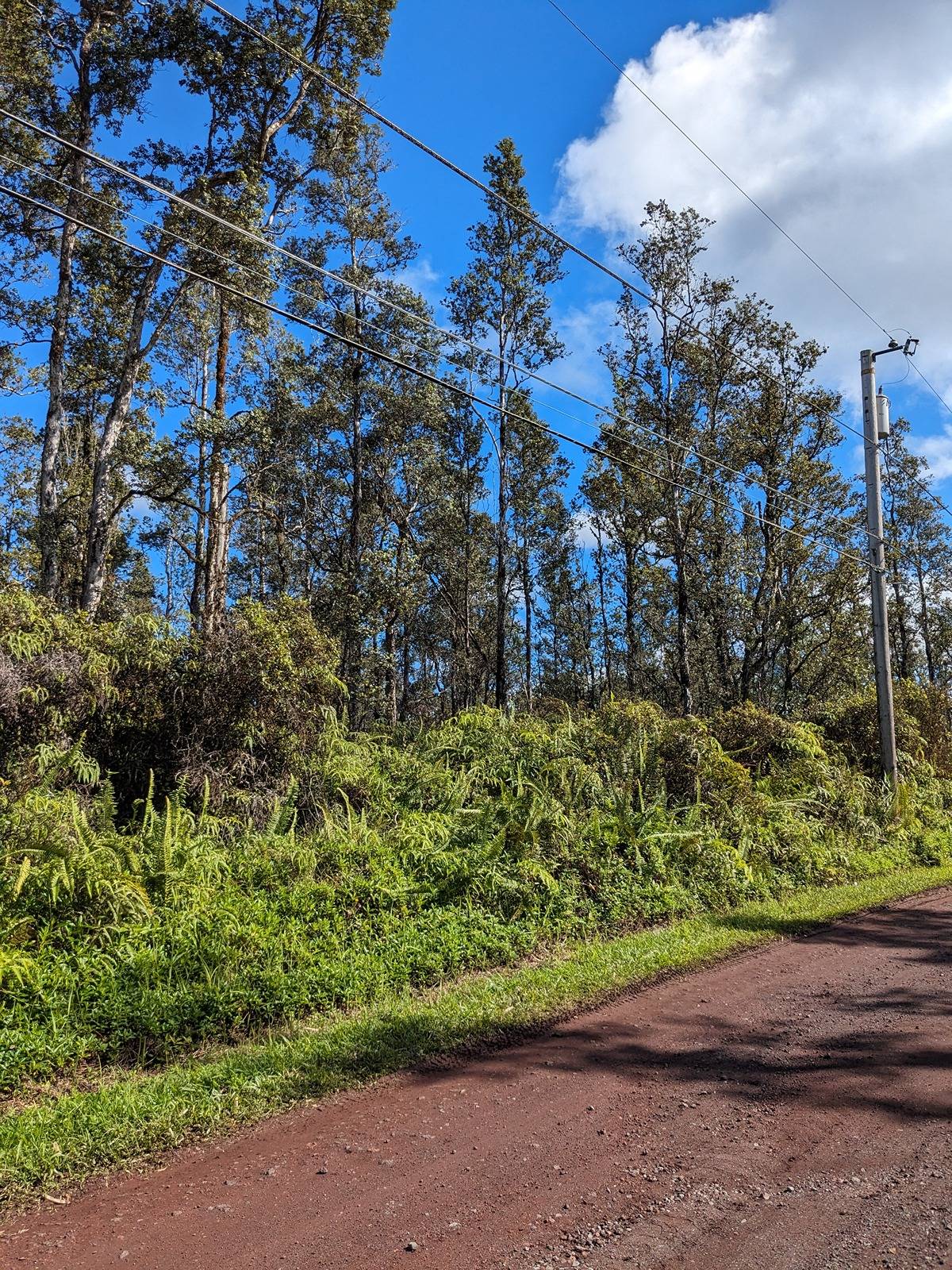 BAMBOO DR PAHOA HI 96778