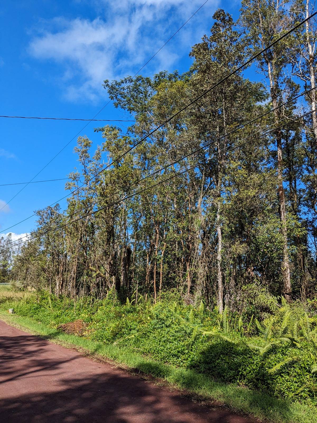 BAMBOO DR PAHOA HI 96778