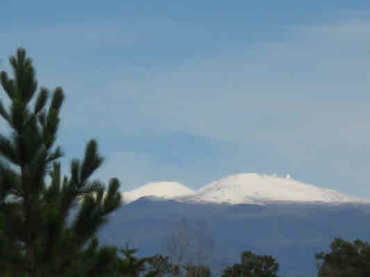 PECK RD,MOUNTAIN VIEW,HI,96771,USA