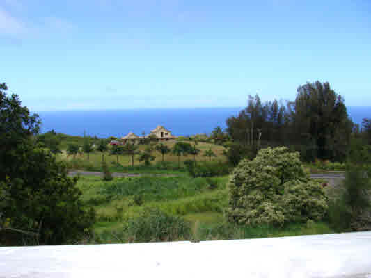 474667 HONAKAA-WAIPIO RD, HONOKAA, HI, 96727, USA