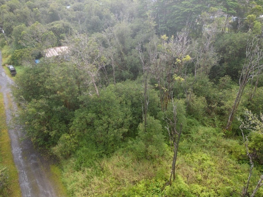 Big Island Listing Image