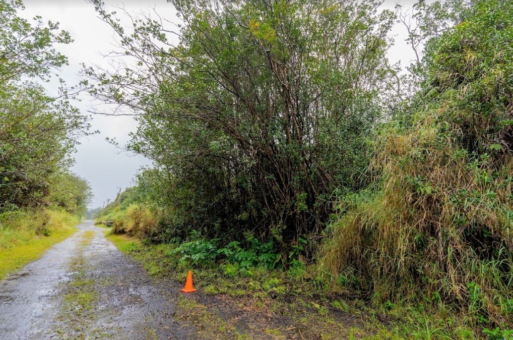 Big Island Listing Image