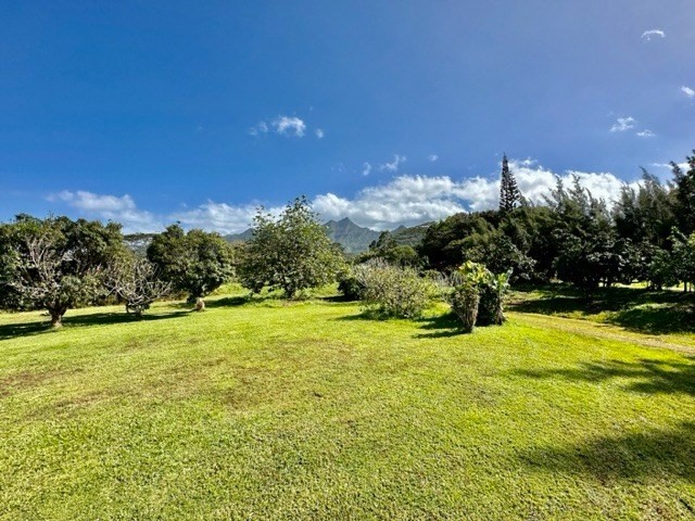 Kauai Listing Image
