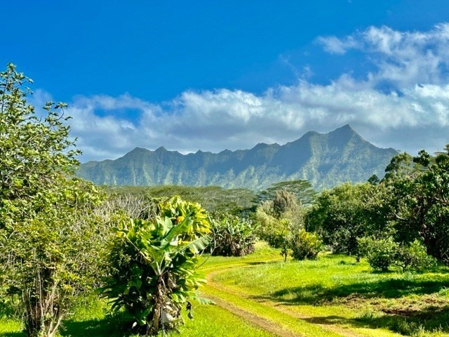Kauai Listing Image