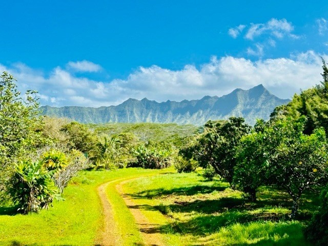 Kauai Listing Image
