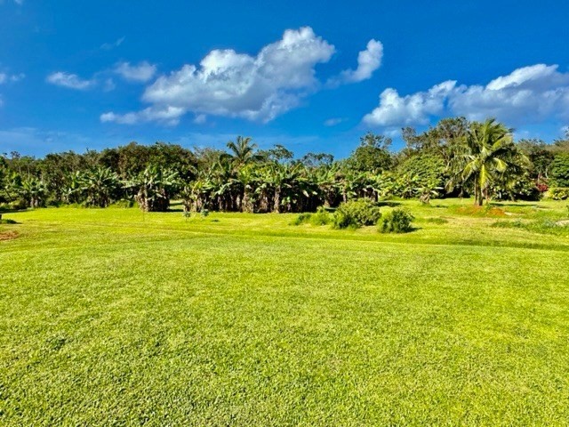 Kauai Listing Image