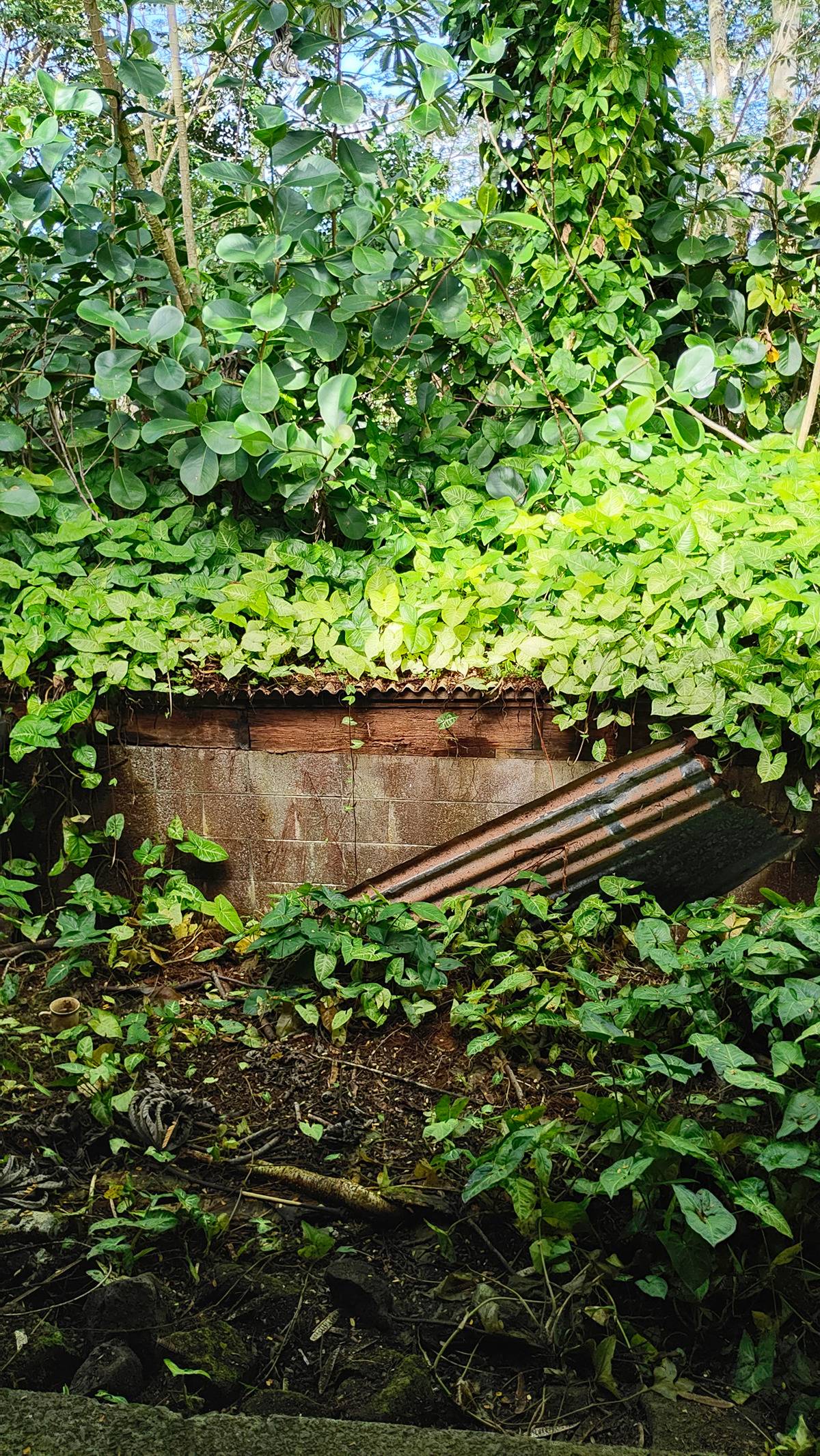 Big Island Listing Image