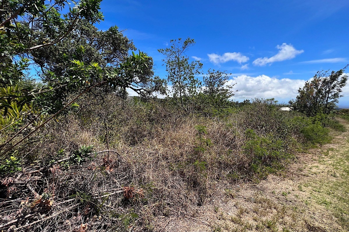 Big Island Listing Image