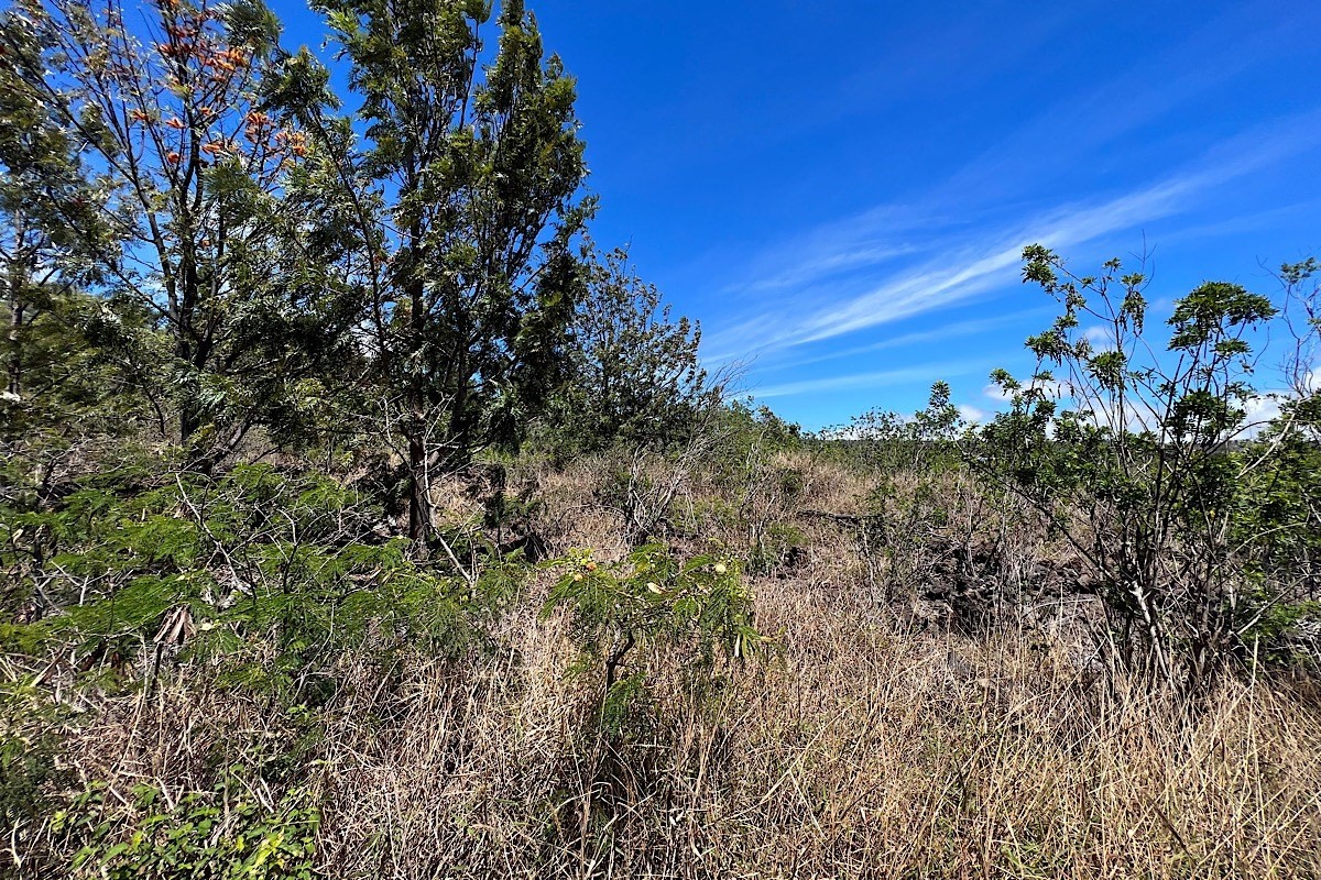 Big Island Listing Image