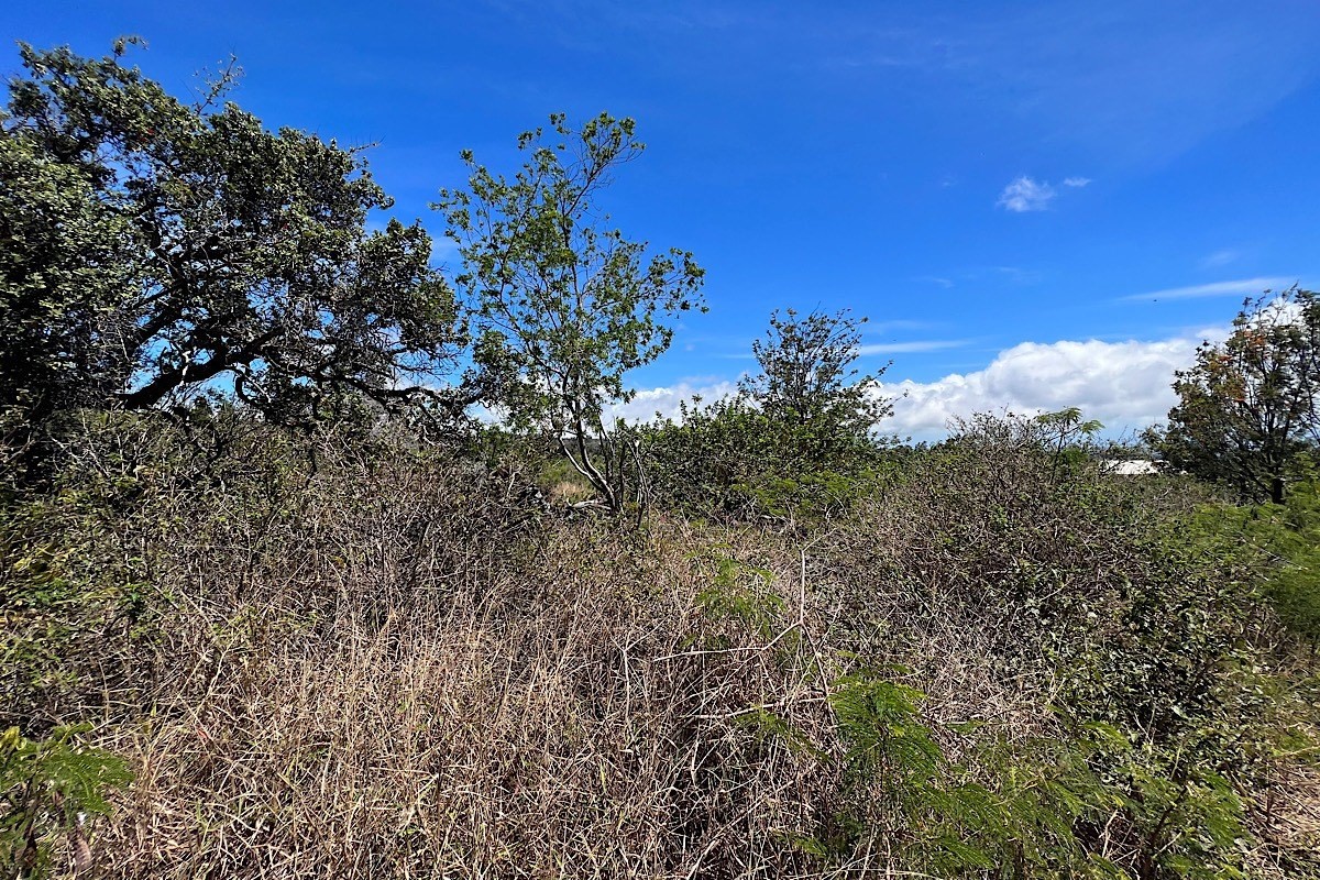 Big Island Listing Image