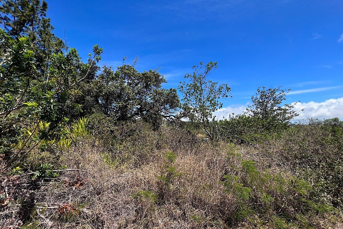 Big Island Listing Image