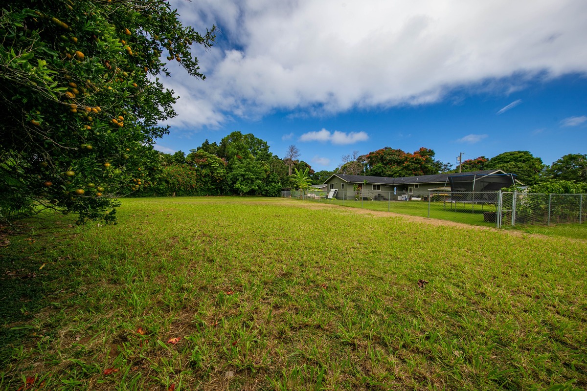Kauai Listing Image
