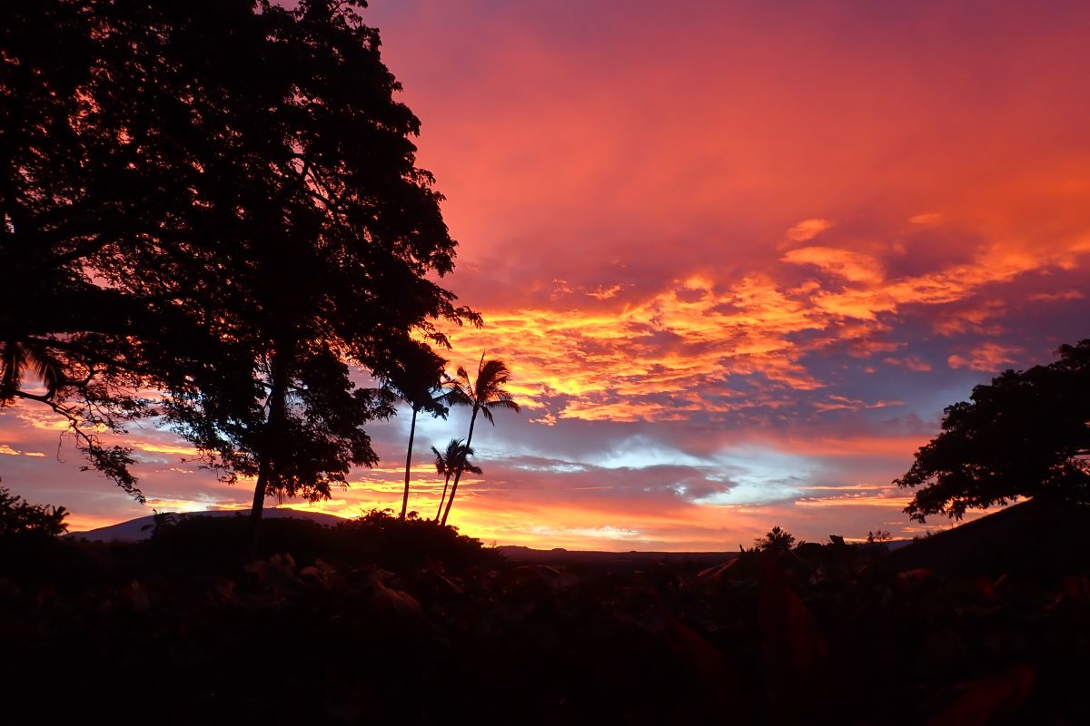 Big Island Listing Image