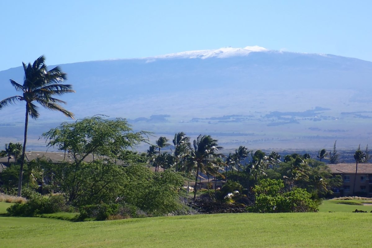 Big Island Listing Image