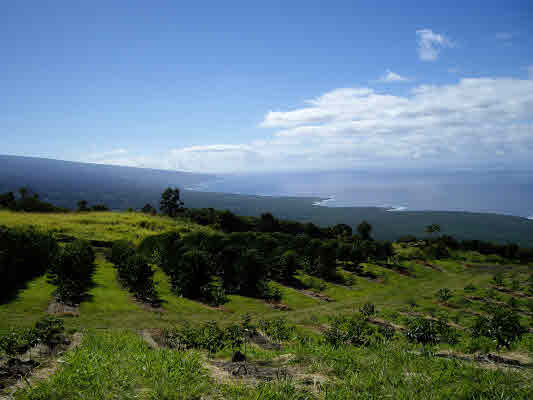 Nanaina Lani Place, CAPTAIN COOK, HI, 96704, USA
