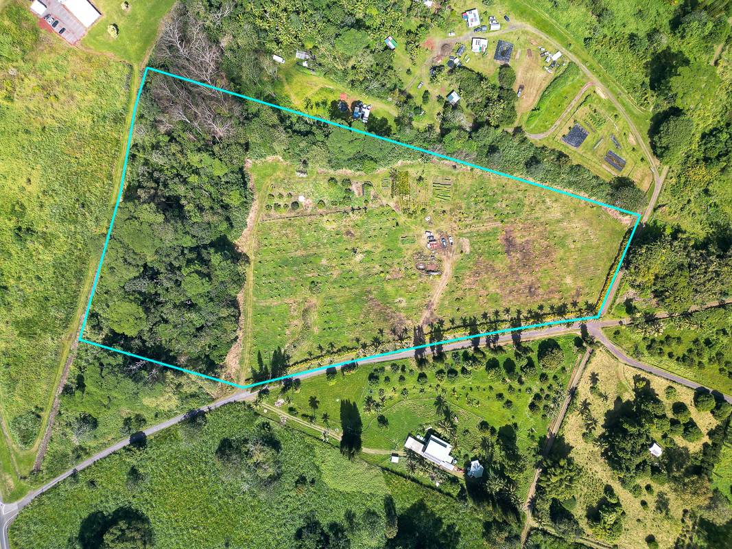 HOMESTEAD RD PAHOA HI 96778