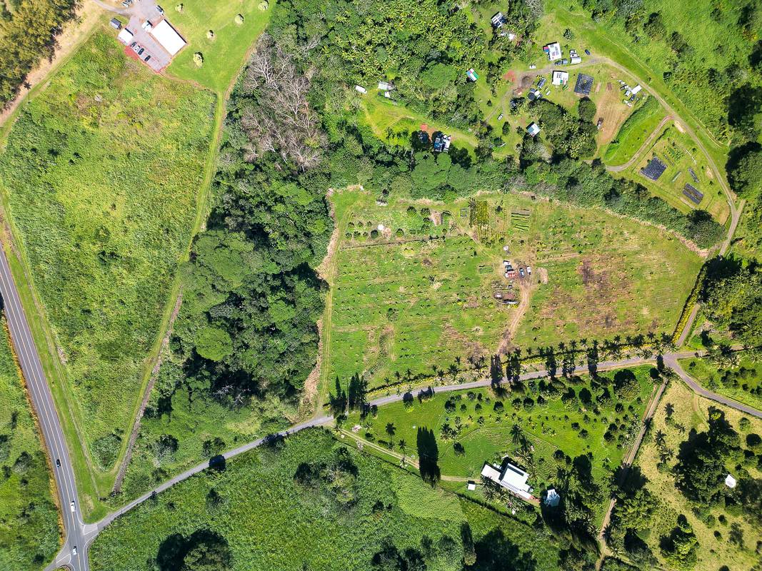 HOMESTEAD RD PAHOA HI 96778