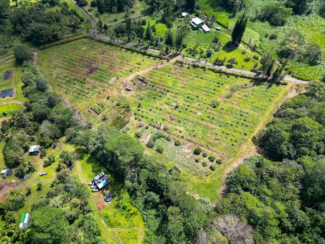 HOMESTEAD RD PAHOA HI 96778