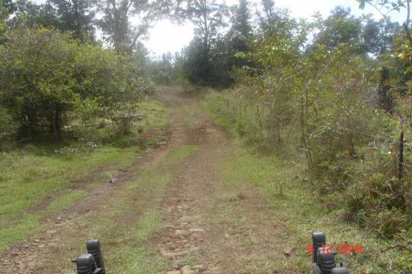 MLS# 223297 Holualoa 1st & 2nd Holualoa 1st & 2nd Partition Lots Mauka Sec. MLS# 223297 Holualoa 1st & 2nd Holualoa 1st & 2nd Partition Lots Mauka Sec.