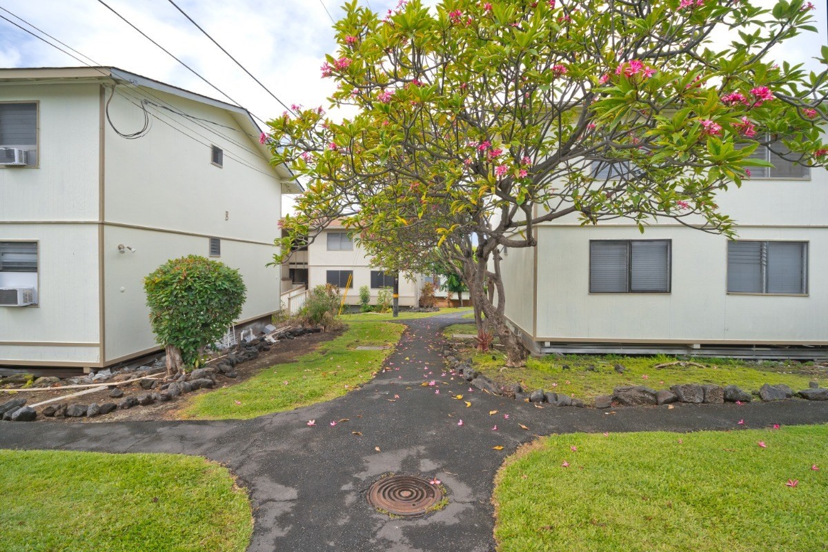 Big Island Listing Image