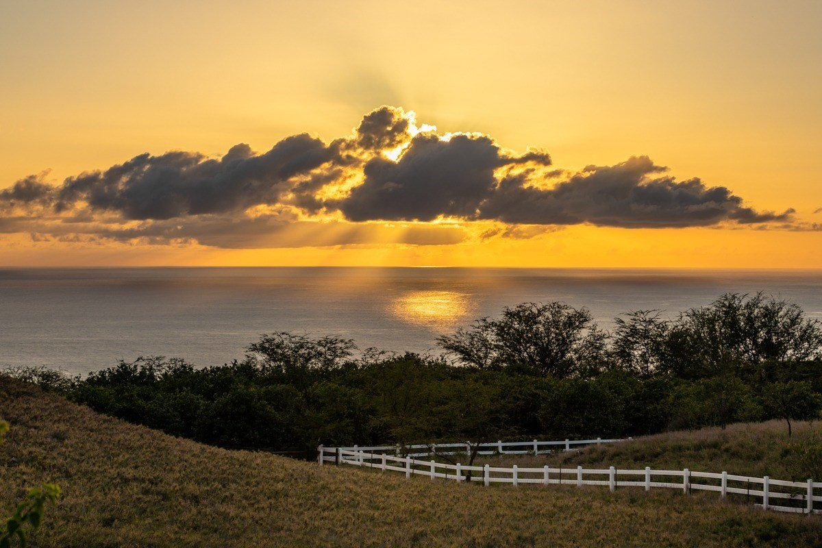 Big Island Listing Image