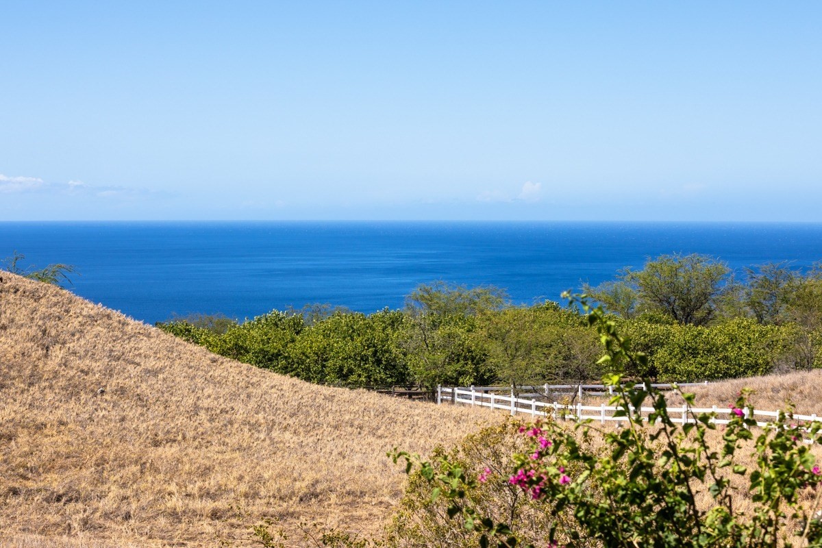 Big Island Listing Image