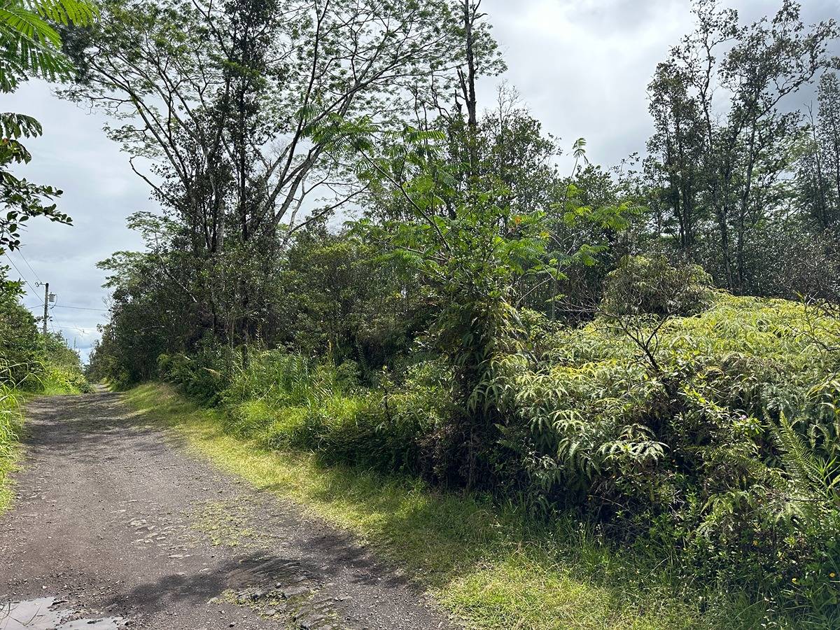 ROAD 10 (POOULI) KURTISTOWN HI 96760