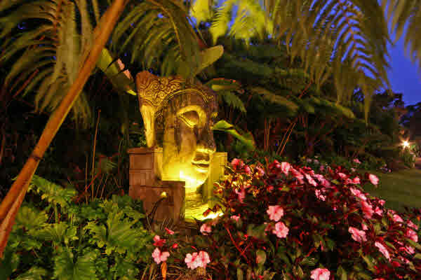 194234 WRIGHT RD, VOLCANO, HI, 96785, USA